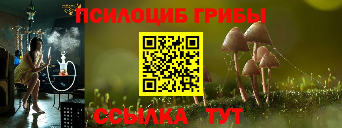 Галлюциногенные грибы Cubensis Первоуральск